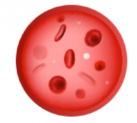 id-anemia